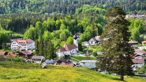 Blick auf Obergrainau vom Höhenweg