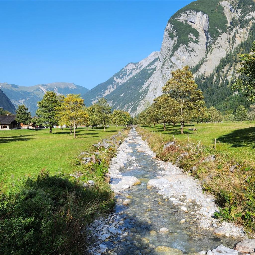 Der große Ahornboden