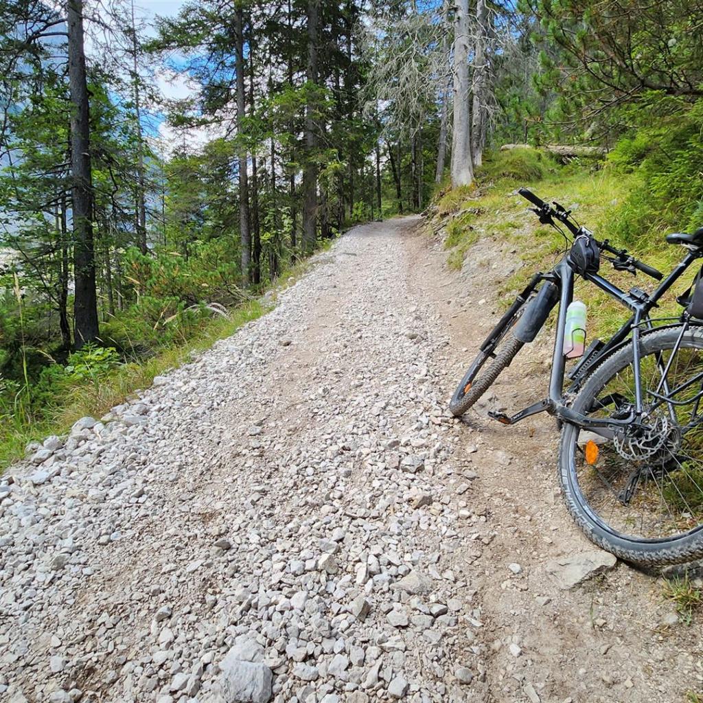 Typischer Weg im Reintal