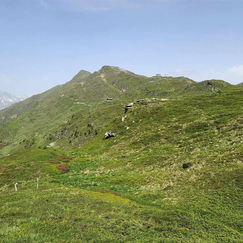 Blick zurück zur Fleckner-Hütte