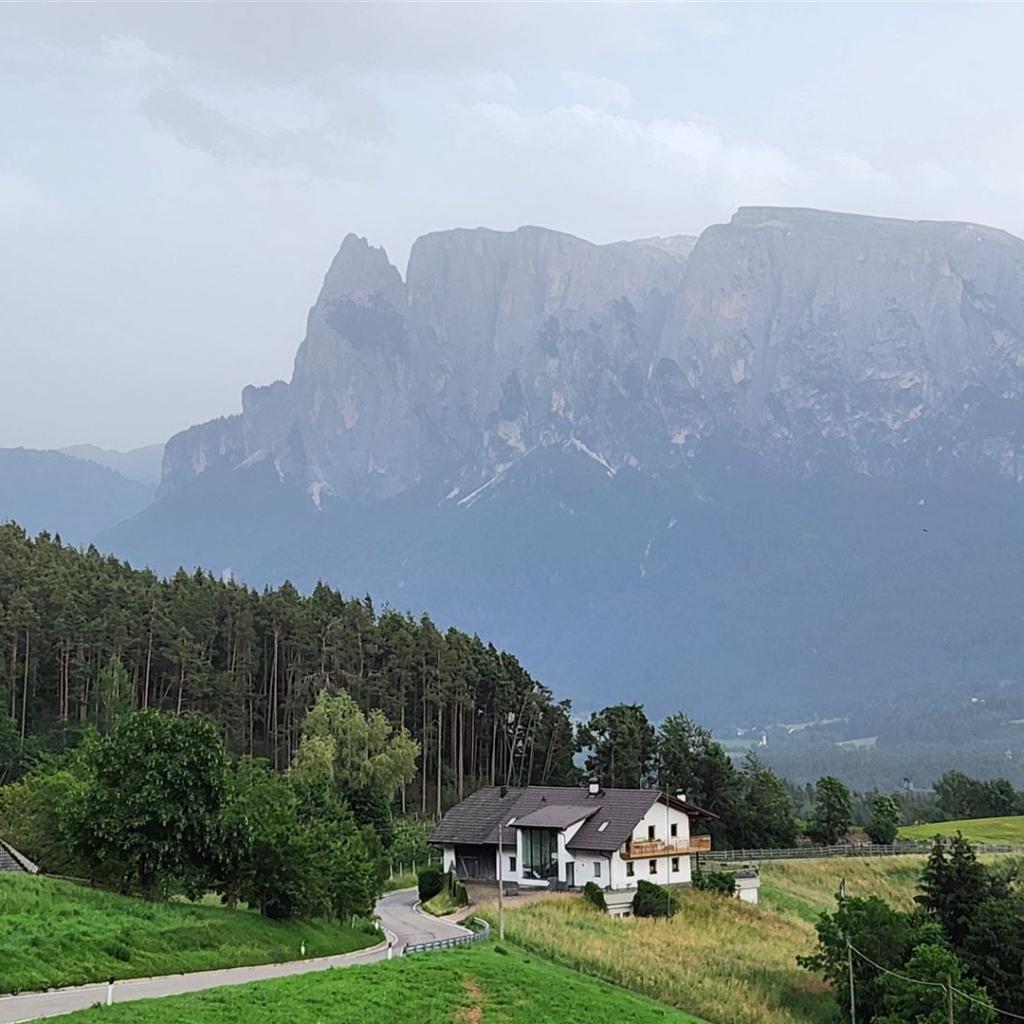 Blick hinüber zum Schlern