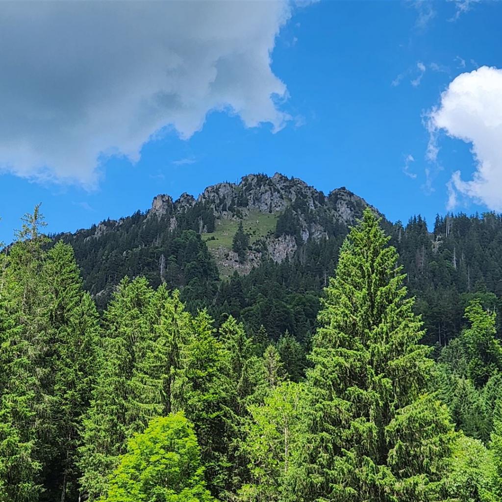 Der Sorgschrofen, der südlichste Punkt von Jungholz