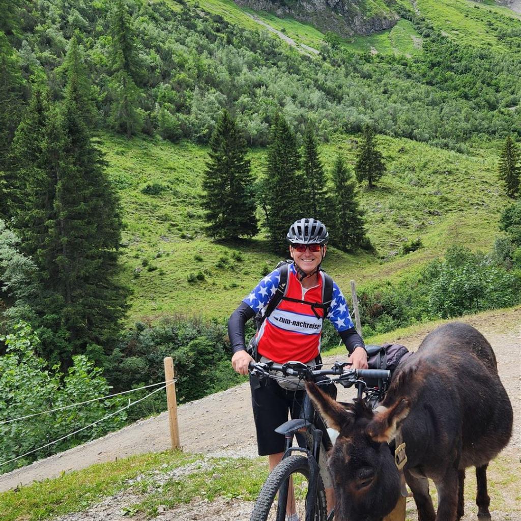 Neugierige Esel an der Speicherhütte