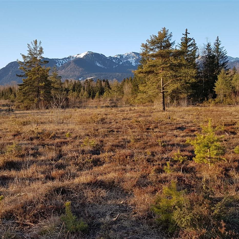 Die ersten Sonnenstrahlen am nächsten Tag