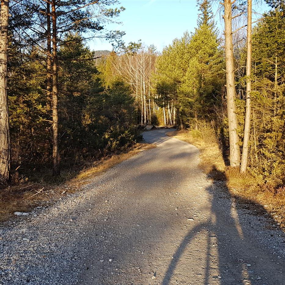 Forstweg nach Bad Tölz