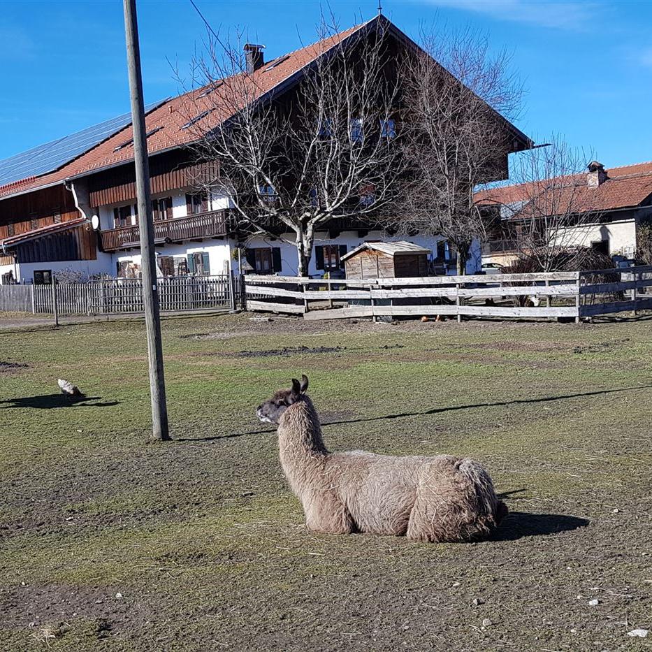 Schöner Bauernhof bei Fischbach
