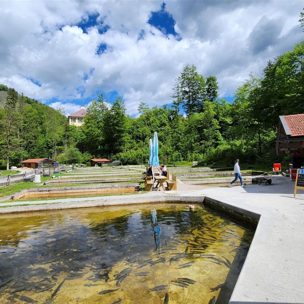 Herzogliche Fischzucht Wildbad Kreuth