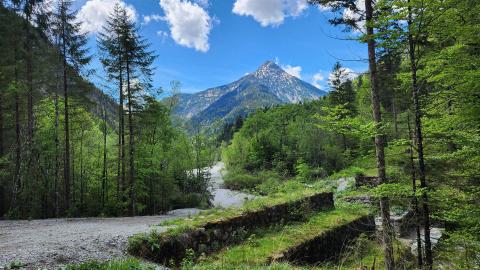 Blick auf den Frieder (2053 m)