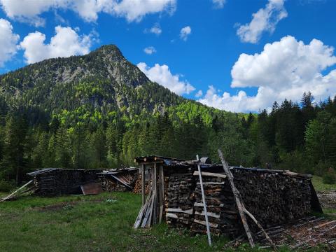 noch ein Blick auf den Frieder (2053 m)