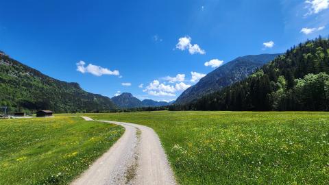 Über die Wiesen bei Graswang