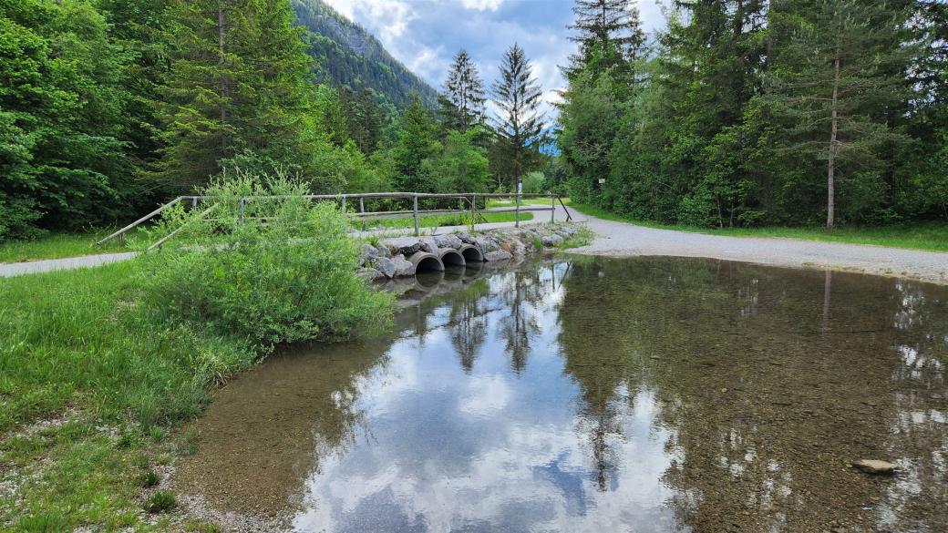 Wer fährt durchs Wasser? 