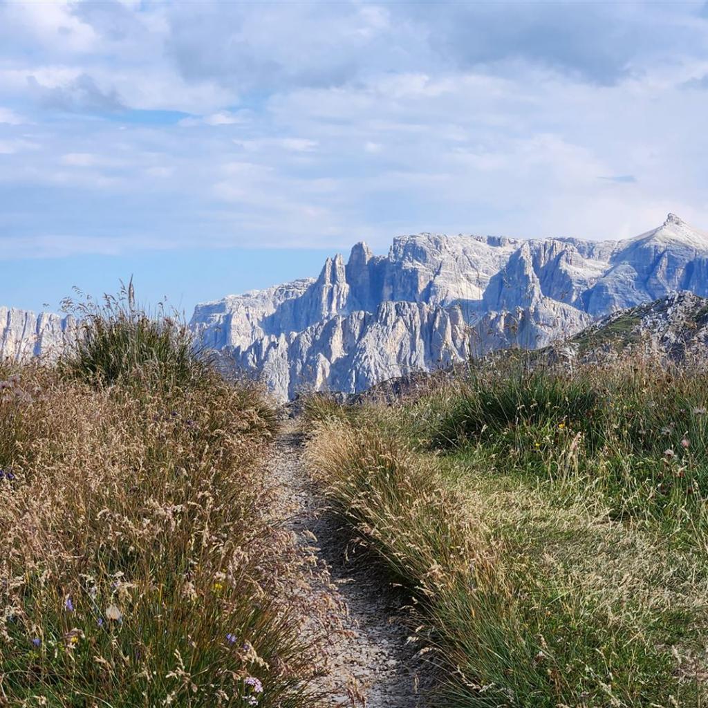 Blick nach Osten vom Zendleserkofel