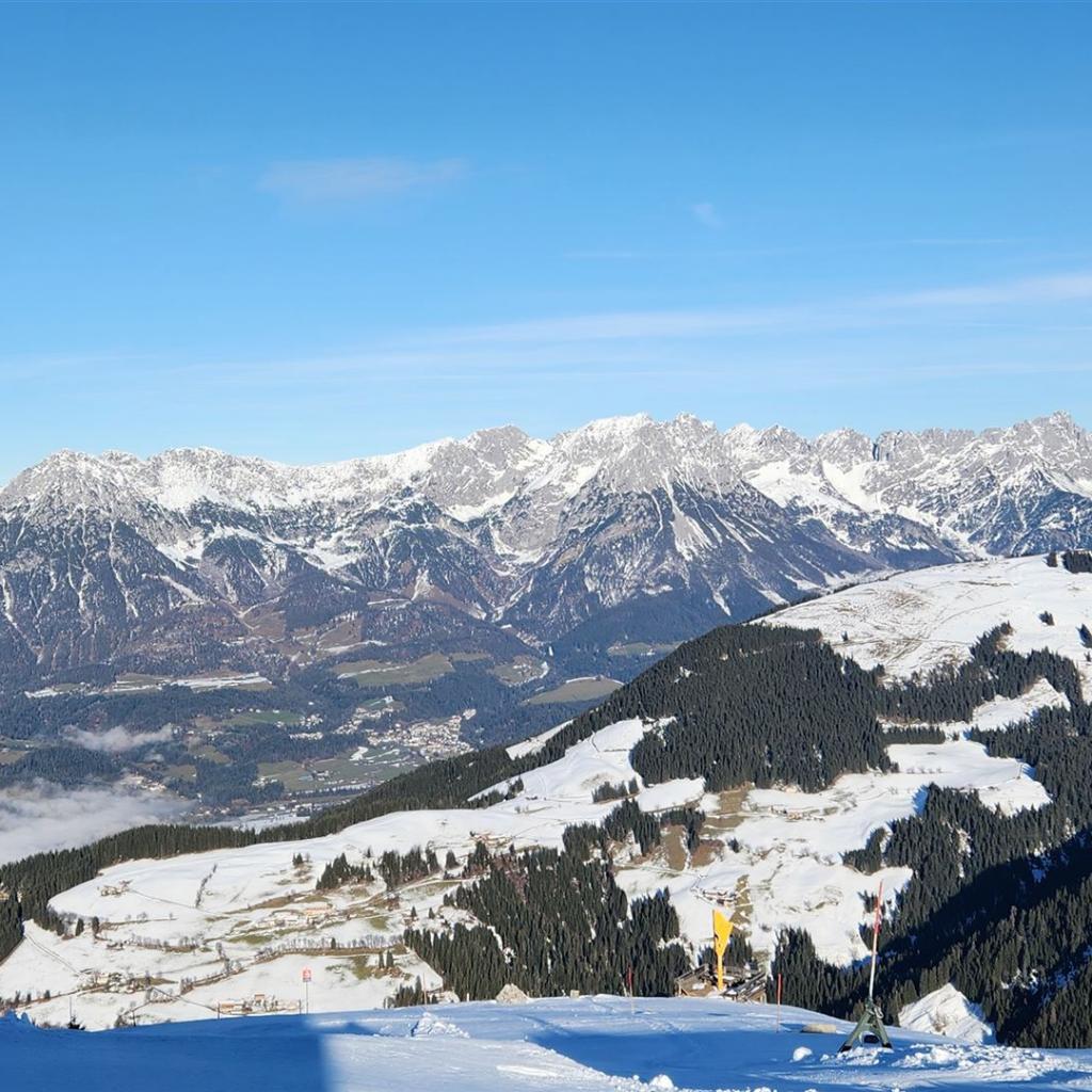 Blick auf den Wilden Kaiser