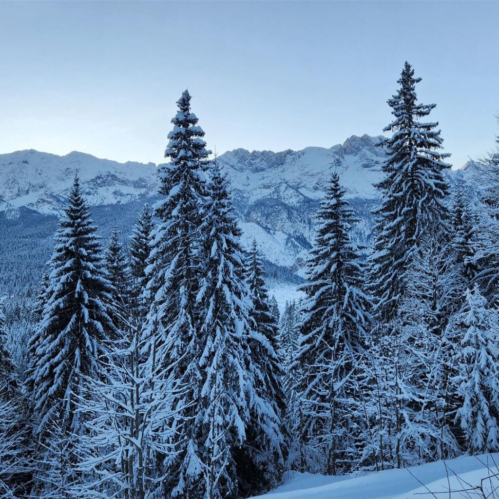Blick auf die Partenkirchner Dreitorspitze