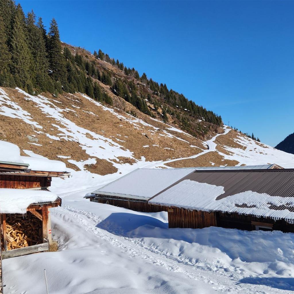 Lamarkalm Niederleger