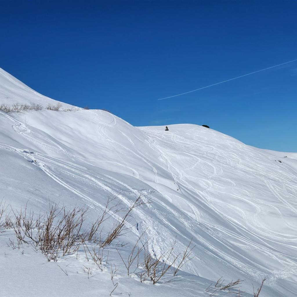 Sanfte Schneewünste
