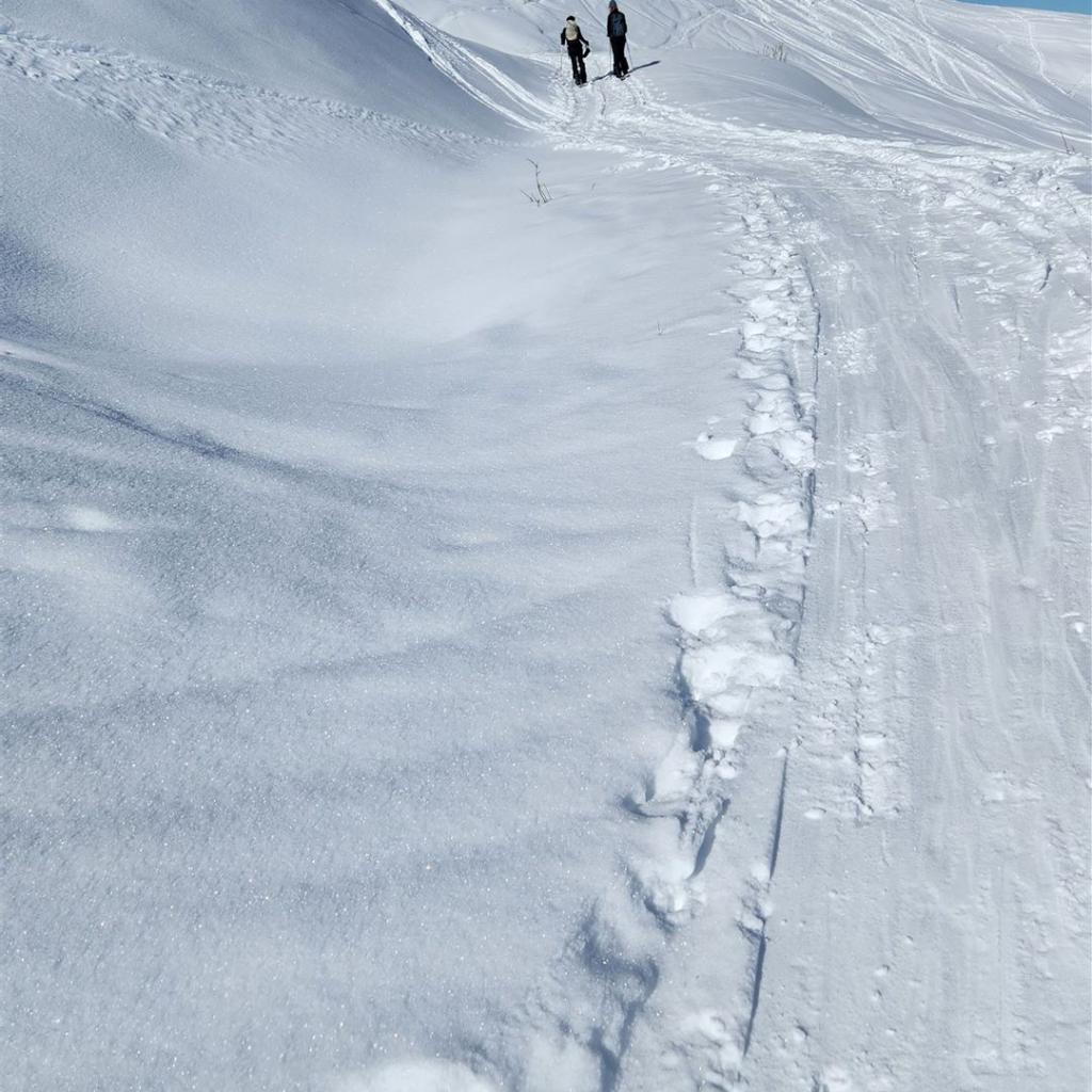 Aufstieg durch die Schneewüste