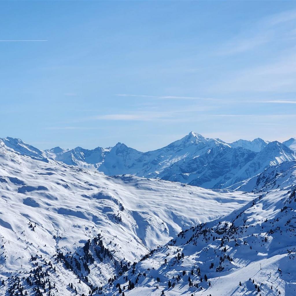 Entdeckst Du den Olperer?