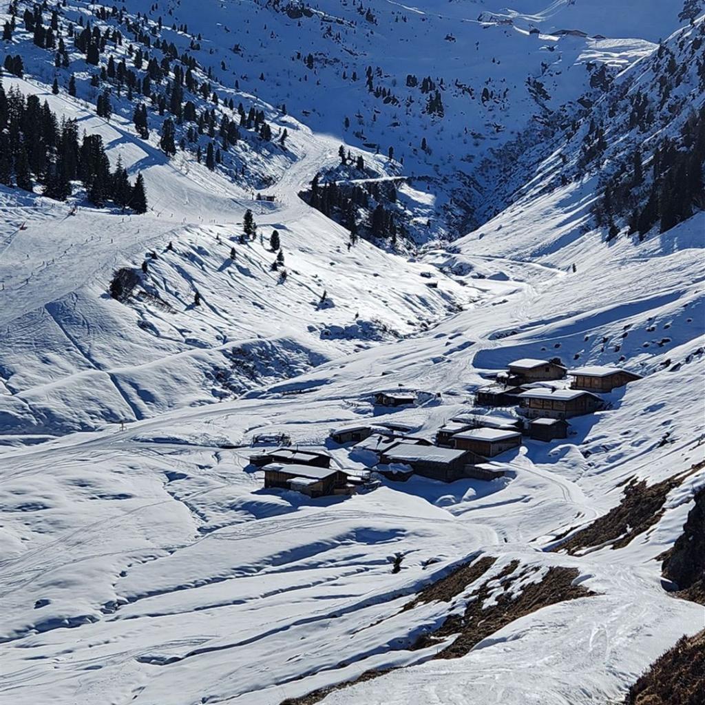 Blick auf die Lamarkalm Niederleger