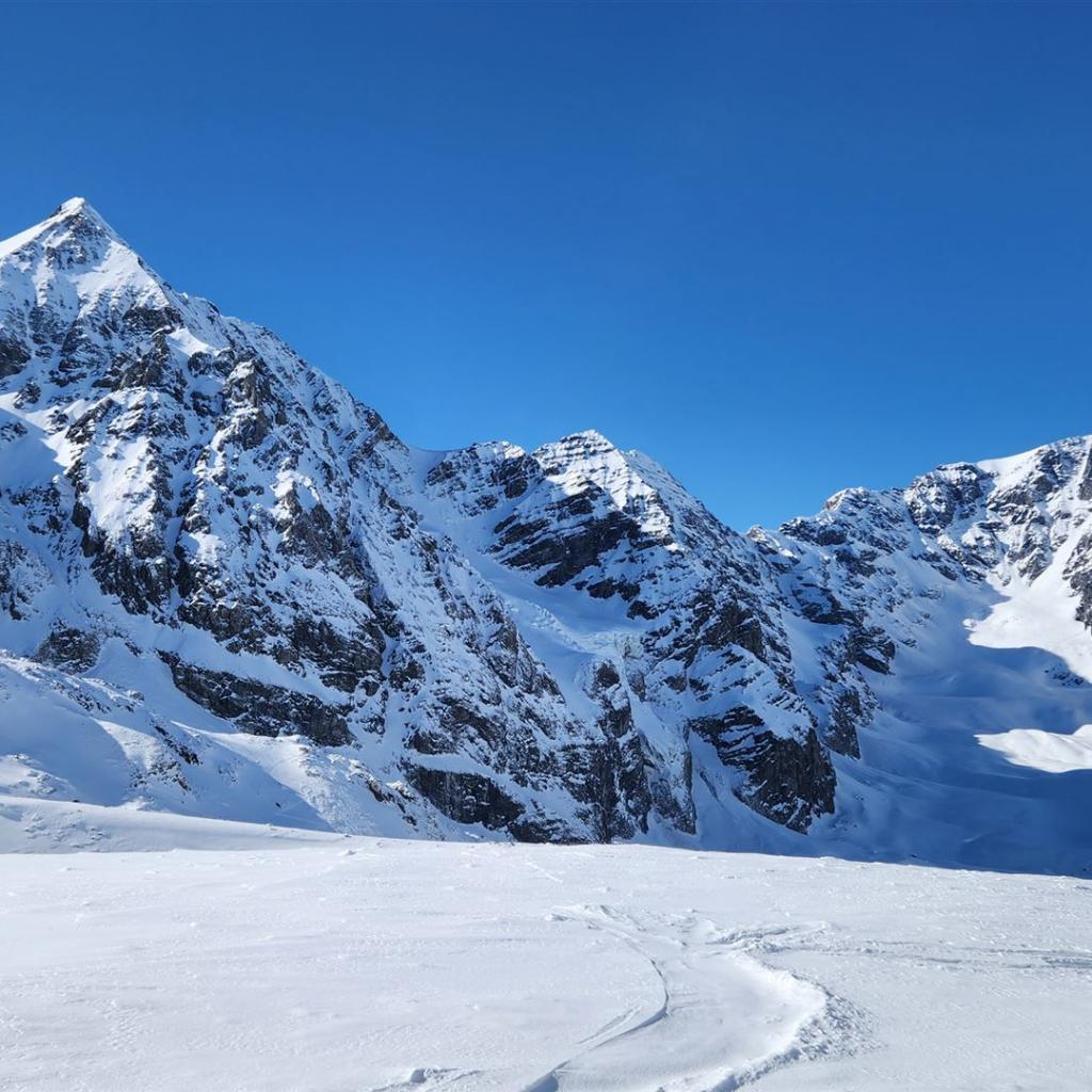 Königsspitze, Zebru und Ortler