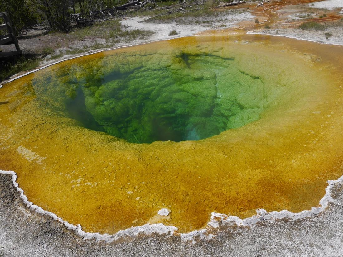 Morning Glory Pool