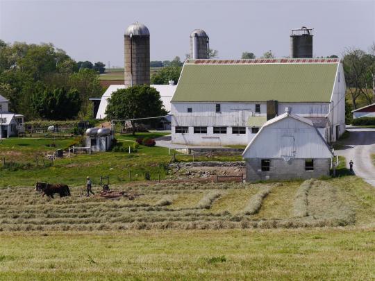Amish Farm